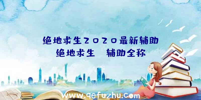 「绝地求生2020最新辅助」|绝地求生fl辅助全称